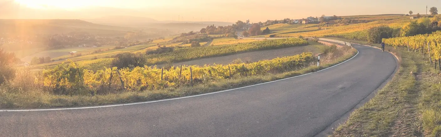 Symbolbild: Ländliche Landschaft mit Weinbergen – repräsentiert die Werte der Stiftung: Nachhaltigkeit, Tradition und Verantwortung Landschaft mit ländlicher Straße und Weinbergen bei Sonnenuntergang – Symbolbild für die STAHLGRUBER GESELLSCHAFTER-STIFTUNG